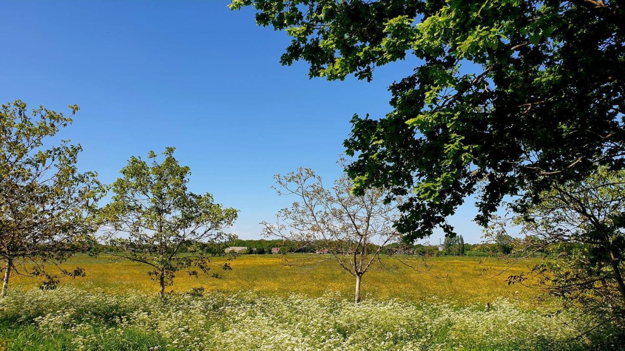 B&B De Scherpenhof Leur Екстер'єр фото